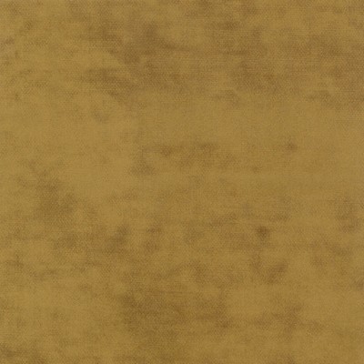 Silver State Cloud Nine Golden